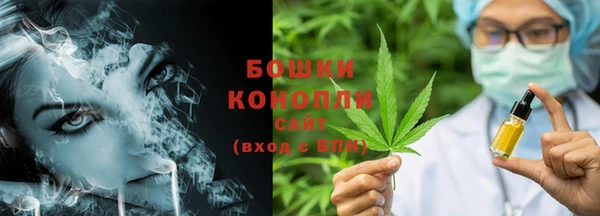 МДПВ Бикин