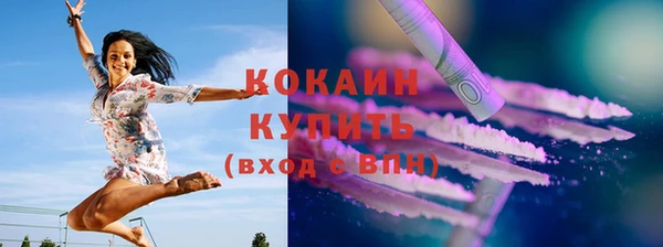 mix Бородино