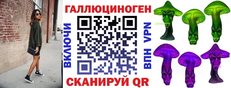 Псилоцибиновые грибы Cubensis  Гатчина 