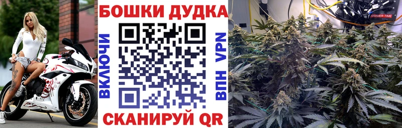 где можно купить   Гатчина  Конопля тримм 
